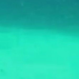 Meet your Posher, Zoe